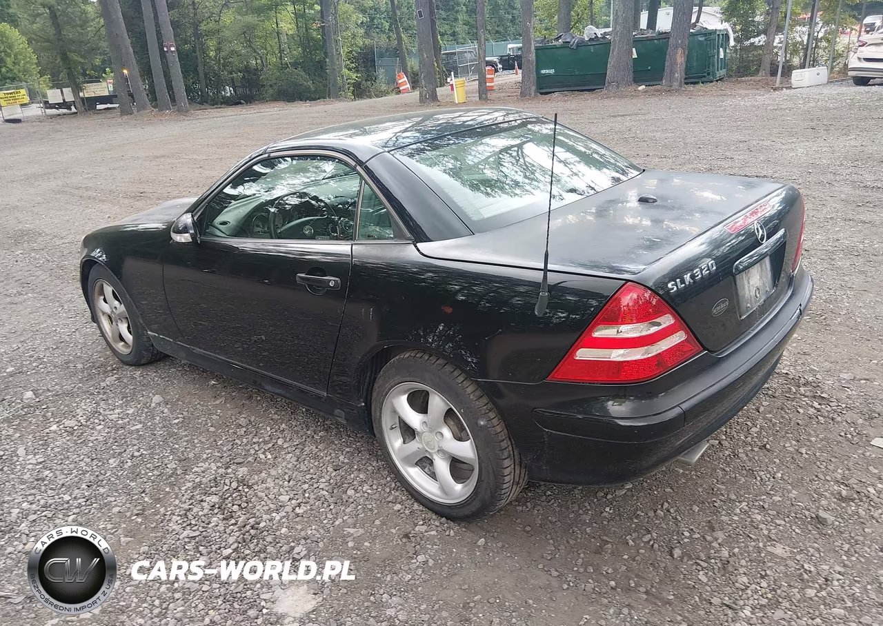 2004 Mercedes-Benz Slk 320 VIN:WDBKK65F04F303333 - 3