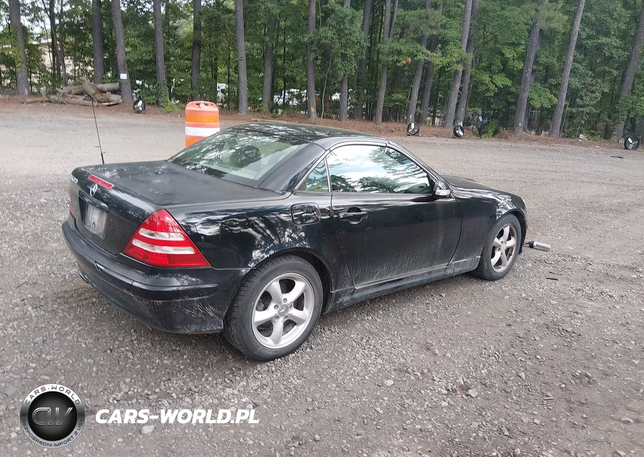 2004 Mercedes-Benz Slk 320 VIN:WDBKK65F04F303333 - 4