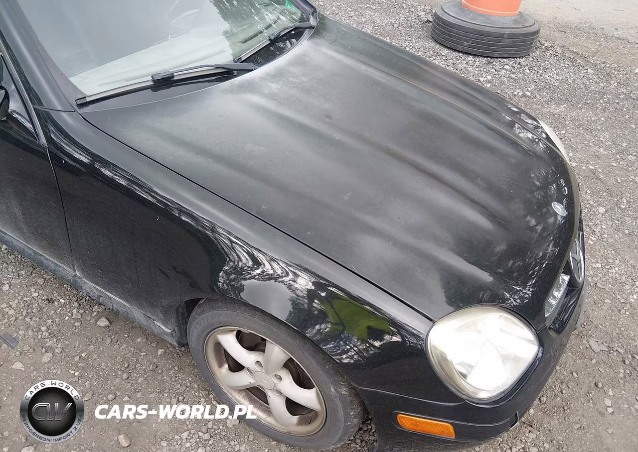 2004 Mercedes-Benz Slk 320 VIN:WDBKK65F04F303333 - 6