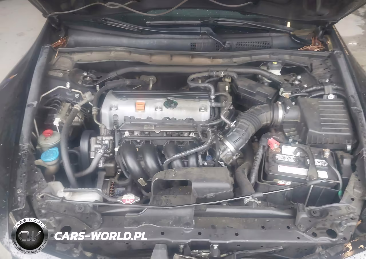 2010 Honda Accord 2.4 Ex VIN:1HGCS1B71AA003963 - 10