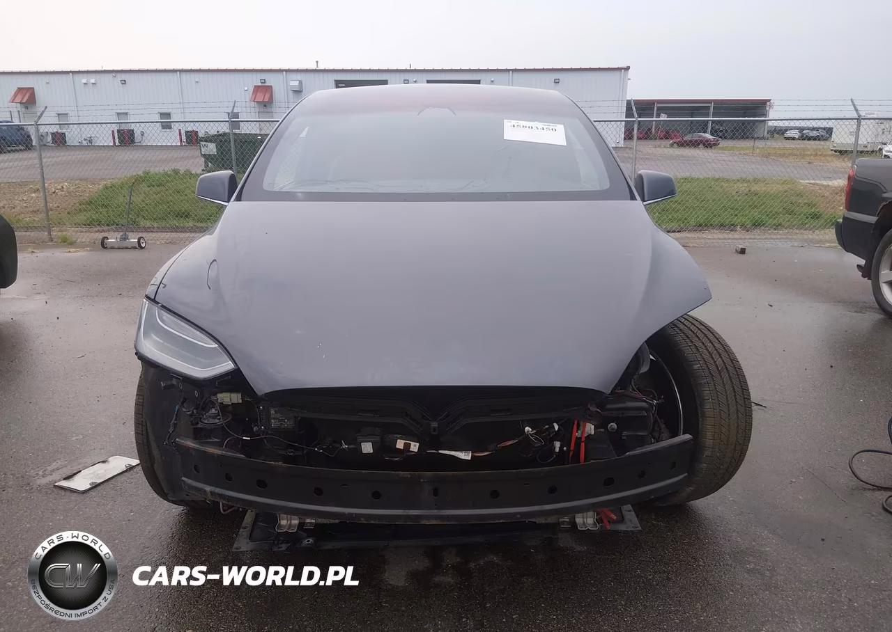 2019 Tesla Model X 100D-75D-Long Range-Standard Range VIN:5YJXCDE29KF192742 - 12