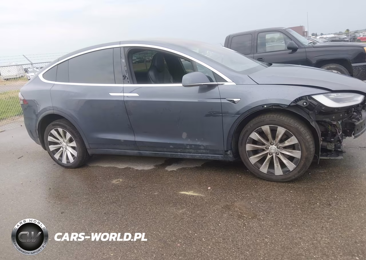 2019 Tesla Model X 100D-75D-Long Range-Standard Range VIN:5YJXCDE29KF192742 - 13
