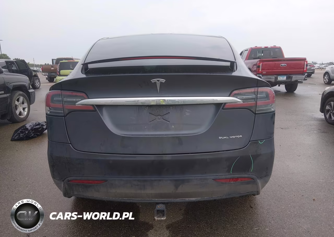 2019 Tesla Model X 100D-75D-Long Range-Standard Range VIN:5YJXCDE29KF192742 - 16