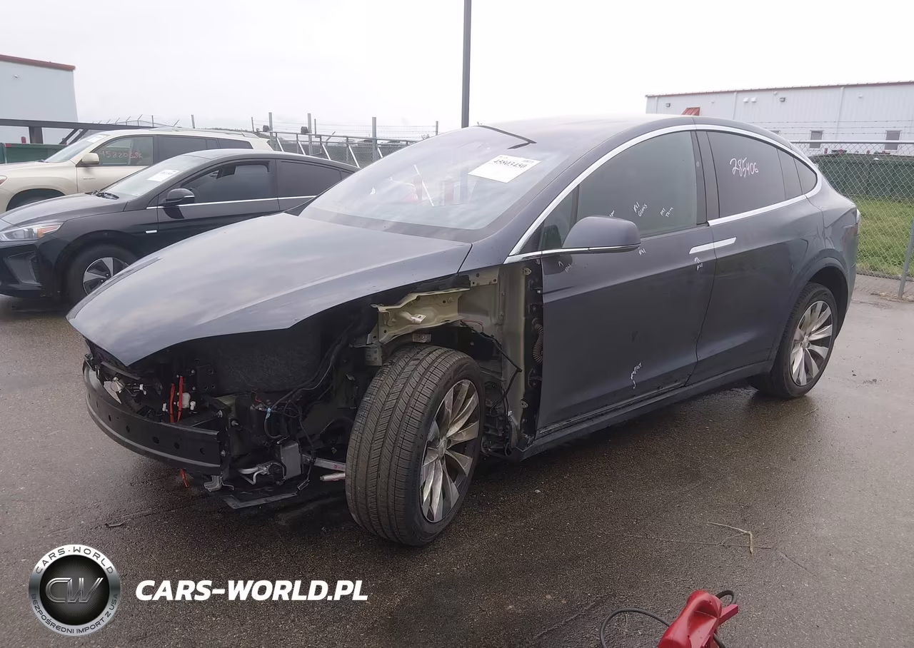2019 Tesla Model X 100D-75D-Long Range-Standard Range VIN:5YJXCDE29KF192742 - 2