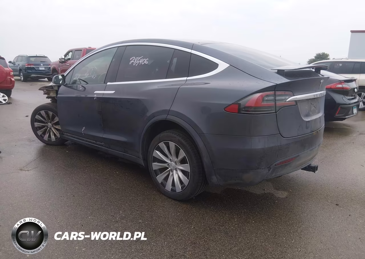 2019 Tesla Model X 100D-75D-Long Range-Standard Range VIN:5YJXCDE29KF192742 - 3