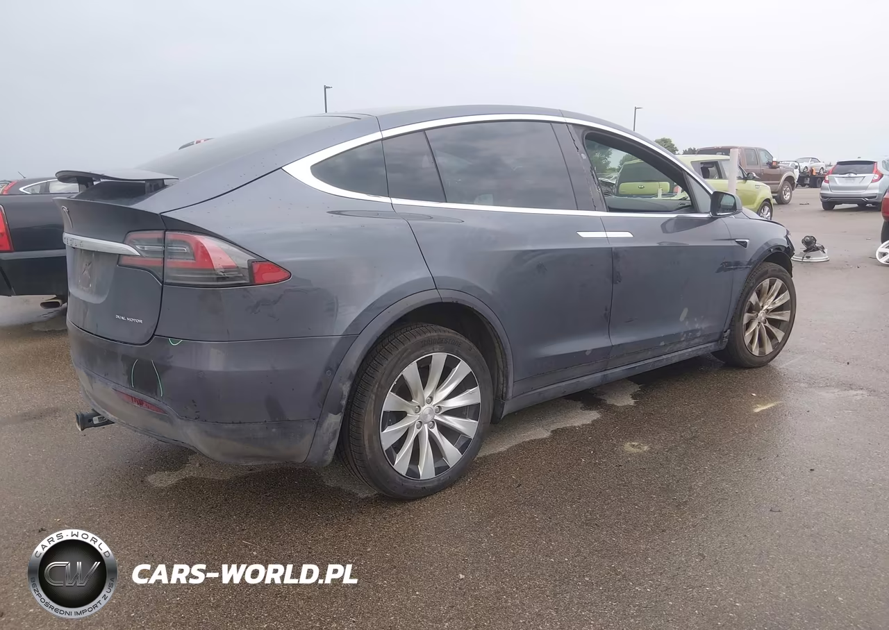 2019 Tesla Model X 100D-75D-Long Range-Standard Range VIN:5YJXCDE29KF192742 - 4