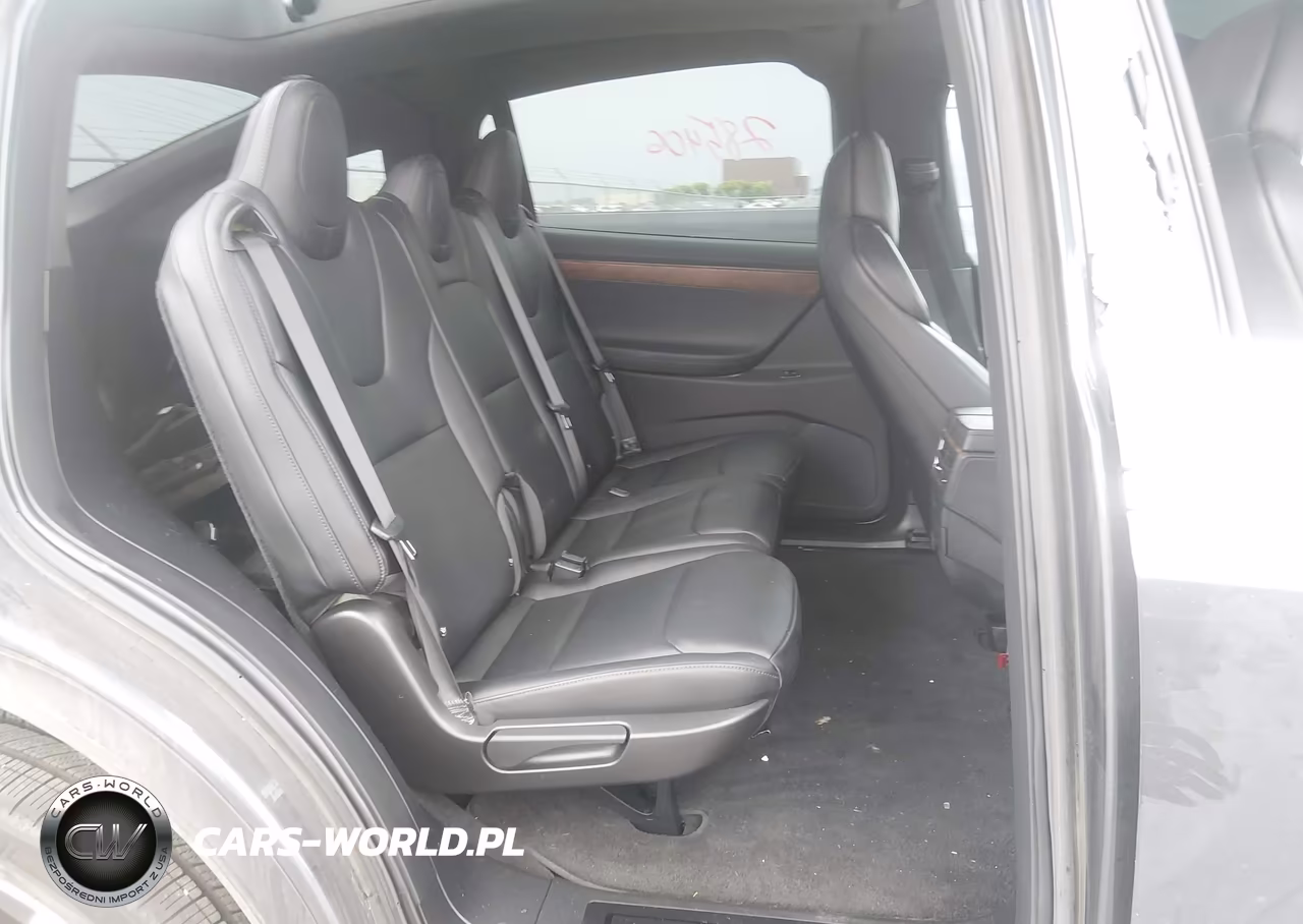 2019 Tesla Model X 100D-75D-Long Range-Standard Range VIN:5YJXCDE29KF192742 - 8