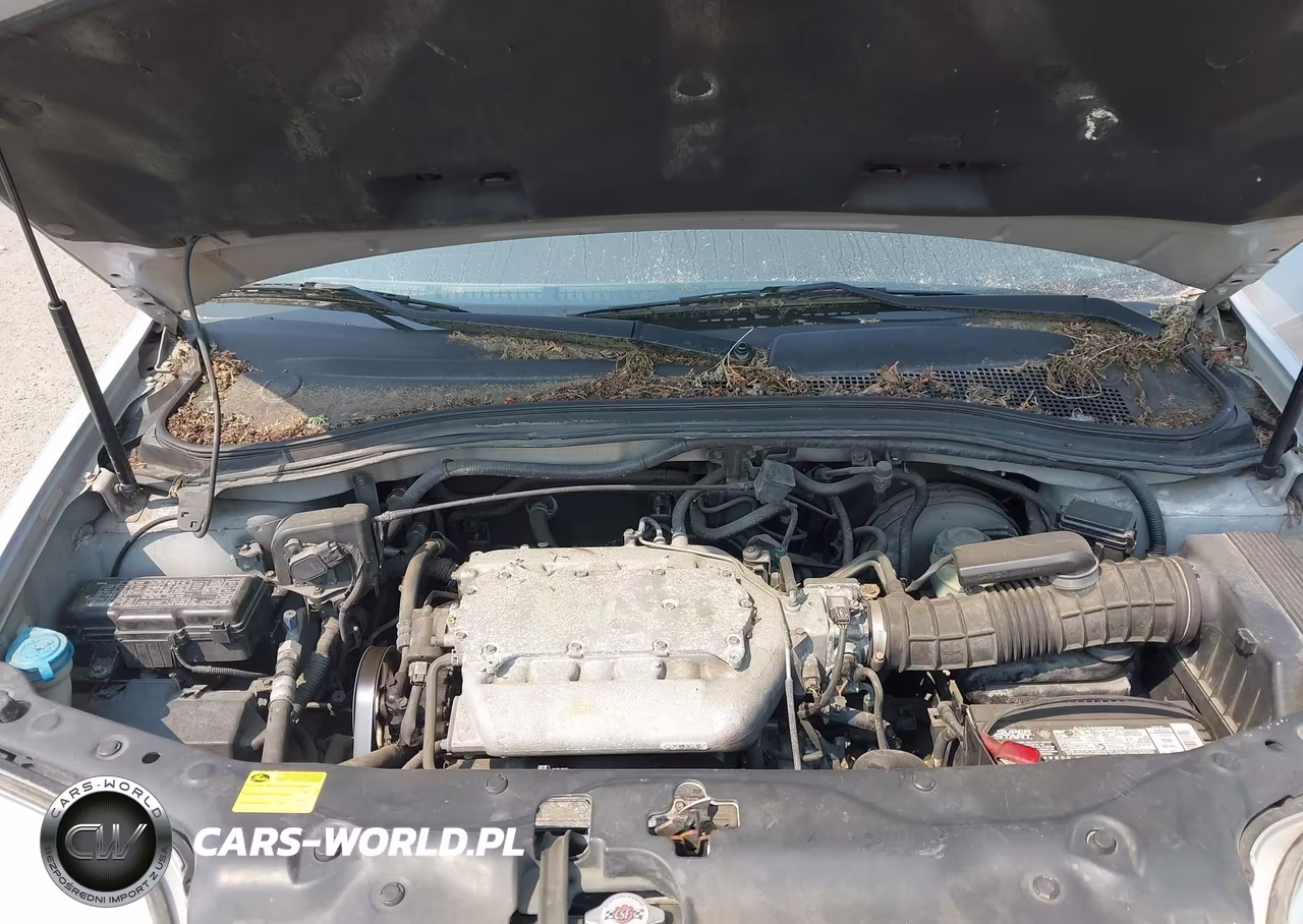 2003 Acura Mdx VIN:2HNYD18263H555841 - 10