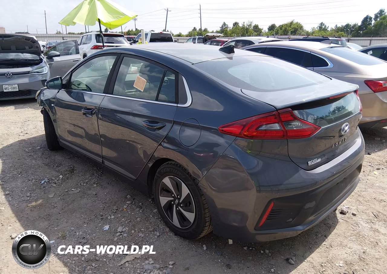2018 Hyundai Ioniq Hybrid Sel VIN:KMHC75LC0JU066159 - 3
