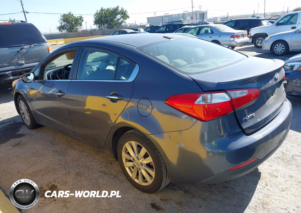2014 Kia Forte Ex VIN:KNAFX4A80E5116341 - 3