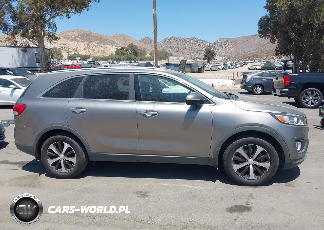 2016 Kia Sorento 2.0T Ex VIN:5XYPH4A10GG123176 - 13