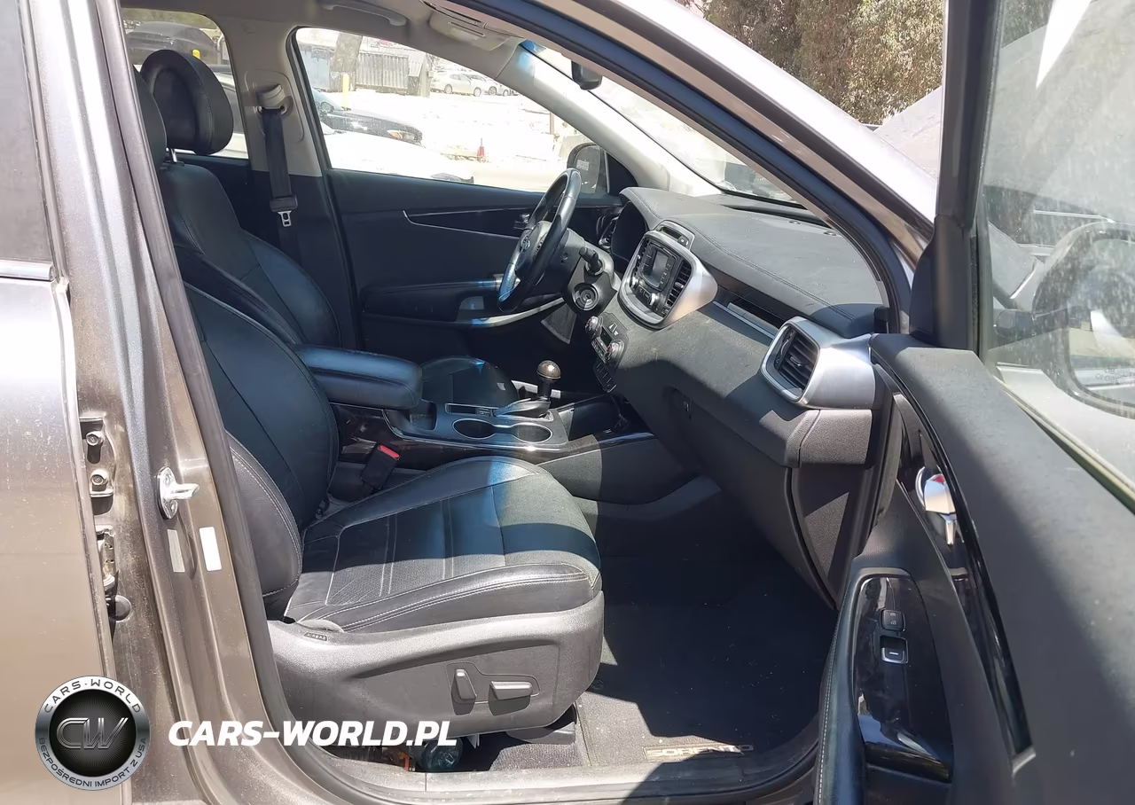 2016 Kia Sorento 2.0T Ex VIN:5XYPH4A10GG123176 - 5