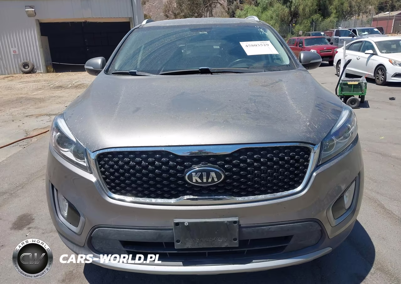 2016 Kia Sorento 2.0T Ex VIN:5XYPH4A10GG123176 - 6