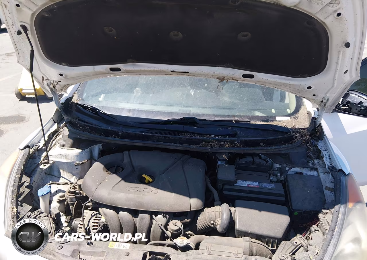2015 Hyundai Elantra Gt VIN:KMHD35LH2FU250652 - 10