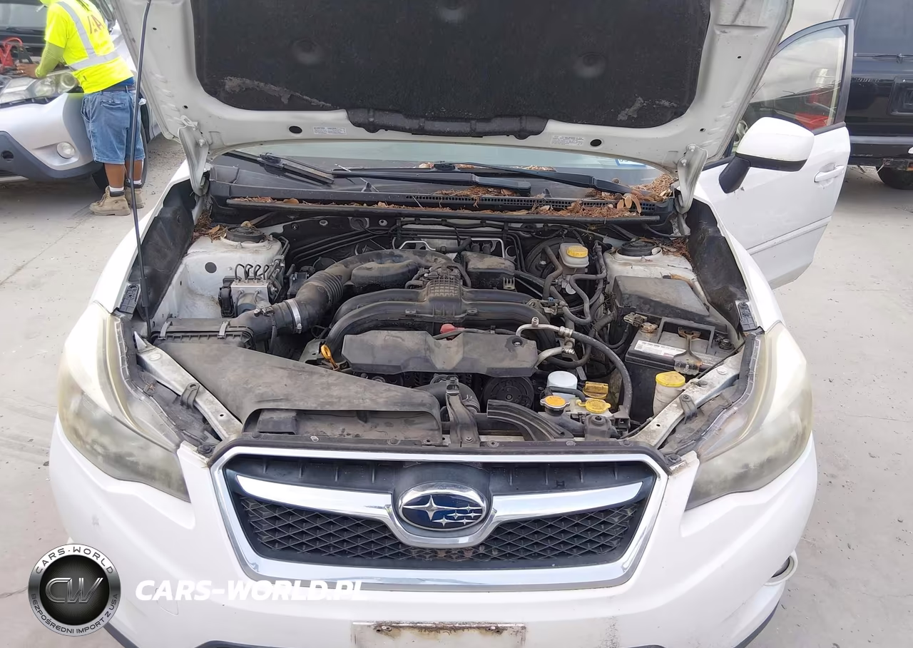 2014 Subaru Xv Crosstrek 2.0I Limited VIN:JF2GPAGCXE8303541 - 10
