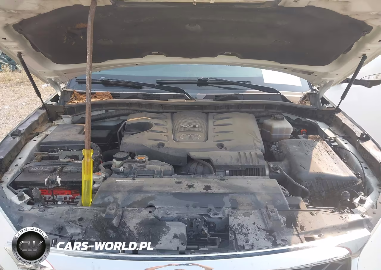 2017 Infiniti Qx80 VIN:JN8AZ2NE3H9151632 - 10
