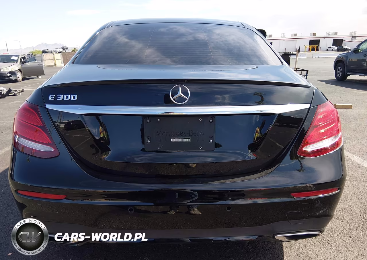2019 Mercedes-Benz E 300 VIN:WDDZF4JB4KA592017 - 16