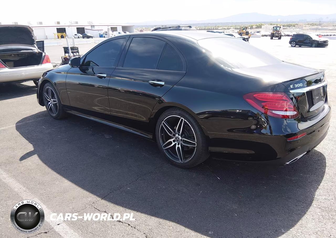 2019 Mercedes-Benz E 300 VIN:WDDZF4JB4KA592017 - 3