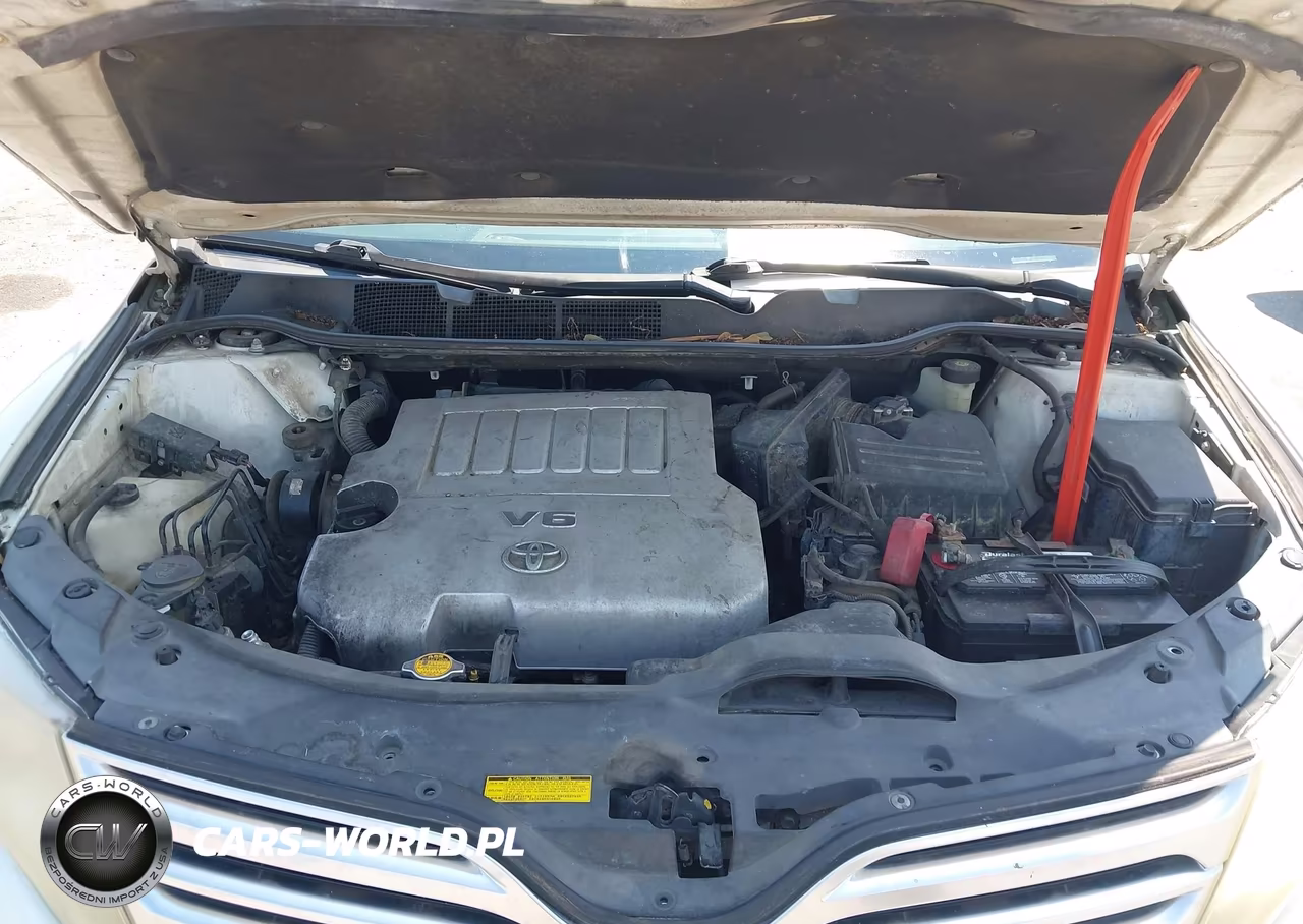 2009 Toyota Venza Base V6 VIN:4T3ZK11A49U001935 - 10