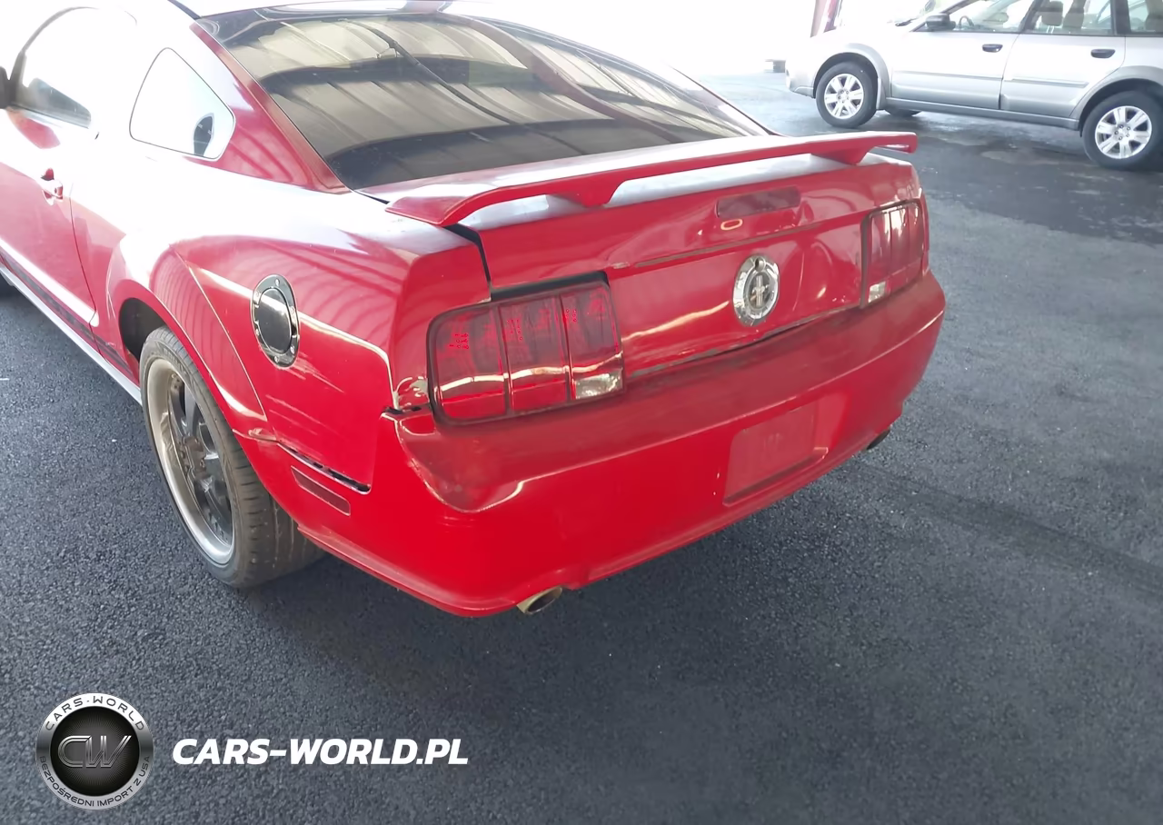 2005 Ford Mustang V6 Deluxe-V6 Premium VIN:1ZVFT80N855135116 - 12