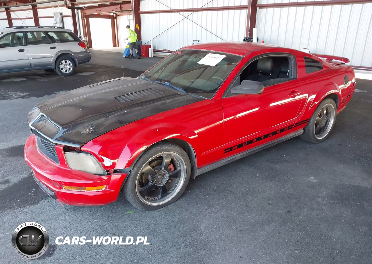 2005 Ford Mustang V6 Deluxe-V6 Premium VIN:1ZVFT80N855135116 - 2