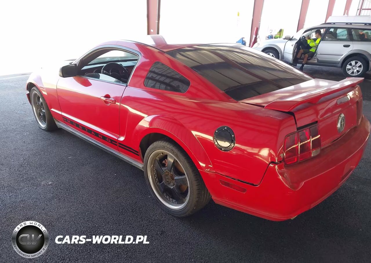 2005 Ford Mustang V6 Deluxe-V6 Premium VIN:1ZVFT80N855135116 - 3