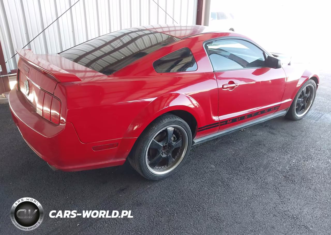 2005 Ford Mustang V6 Deluxe-V6 Premium VIN:1ZVFT80N855135116 - 4