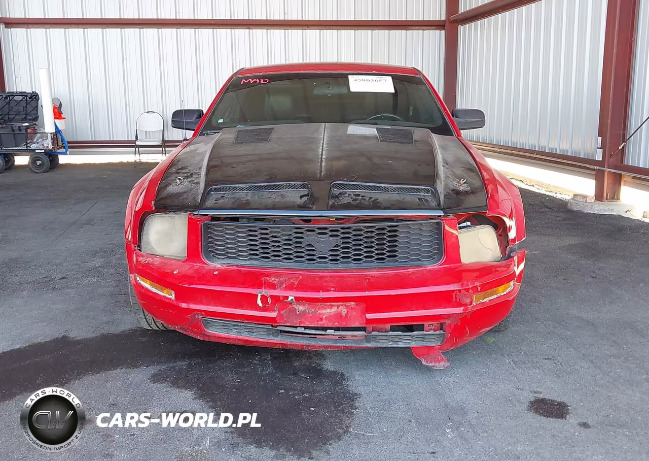 2005 Ford Mustang V6 Deluxe-V6 Premium VIN:1ZVFT80N855135116 - 6