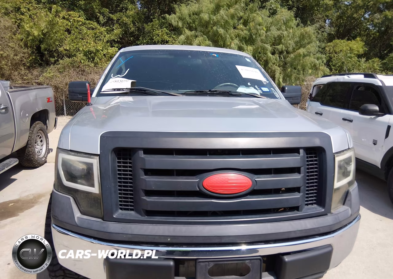2010 Ford F-150 Stx-Xl VIN:1FTEX1CW2AFA98308 - 12
