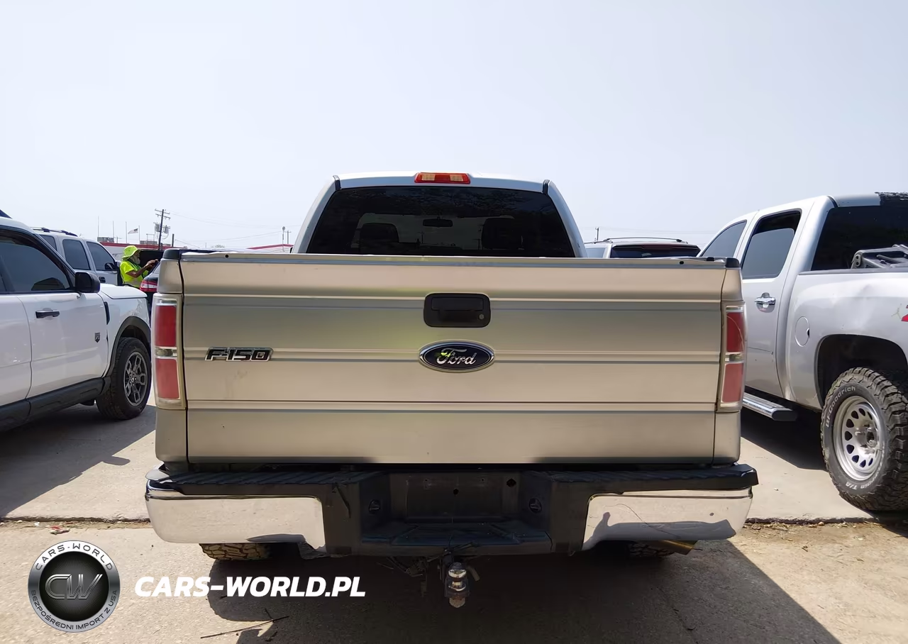 2010 Ford F-150 Stx-Xl VIN:1FTEX1CW2AFA98308 - 16