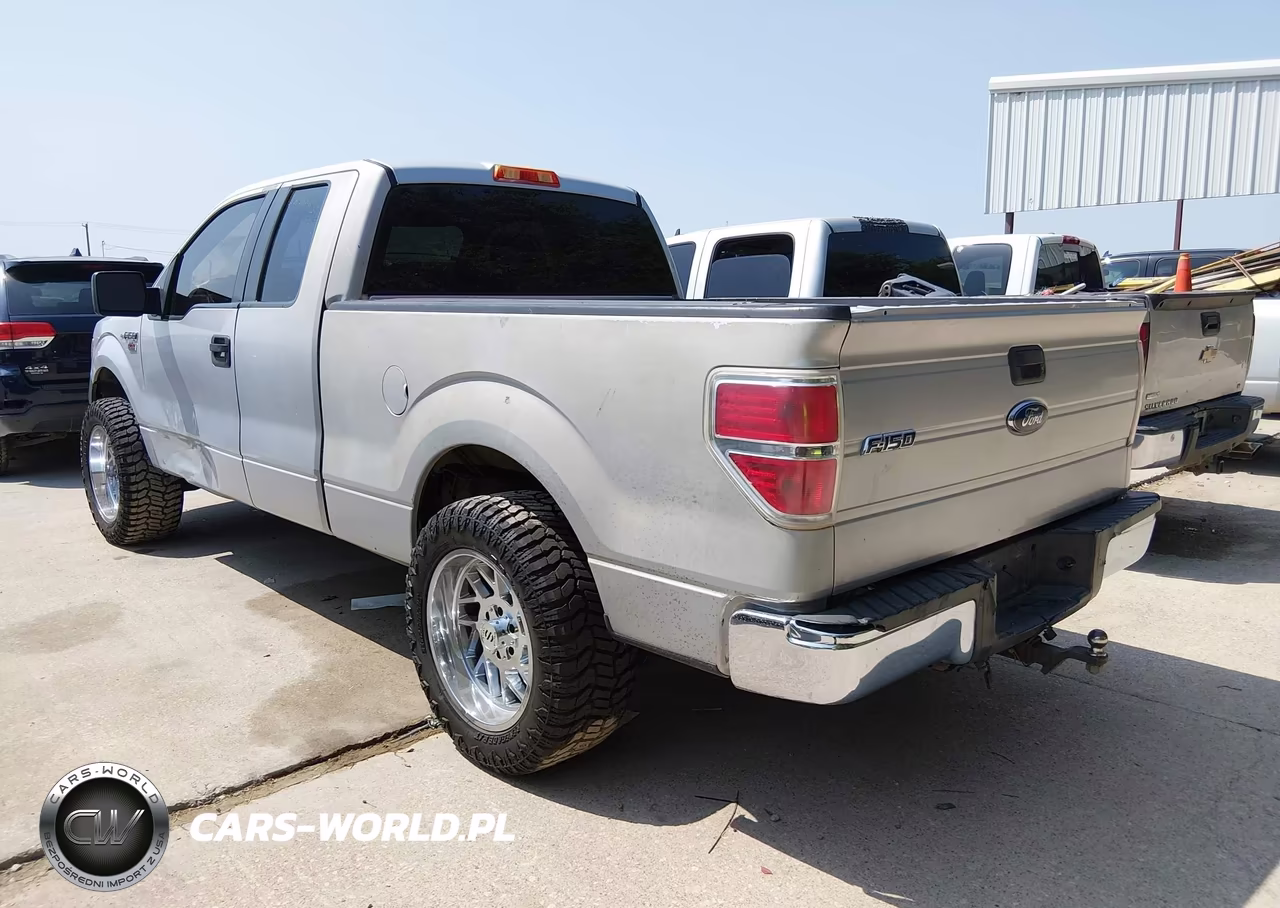 2010 Ford F-150 Stx-Xl VIN:1FTEX1CW2AFA98308 - 3