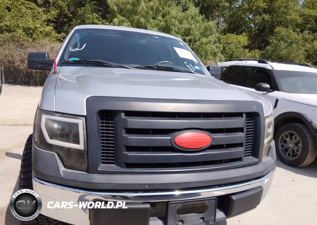 2010 Ford F-150 Stx-Xl VIN:1FTEX1CW2AFA98308 - 6