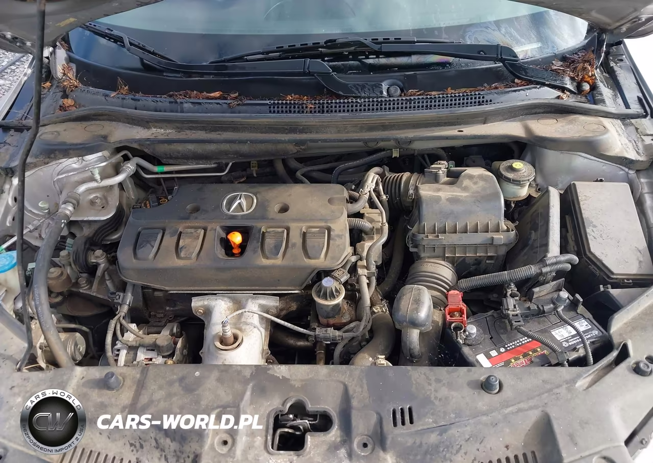 2013 Acura Ilx 2.0L VIN:19VDE1F30DE010088 - 10