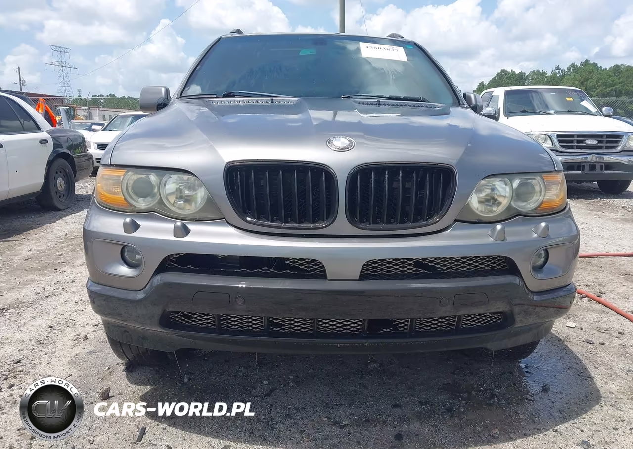 2005 BMW X5 3.0I VIN:5UXFA13575LY03882 - 13