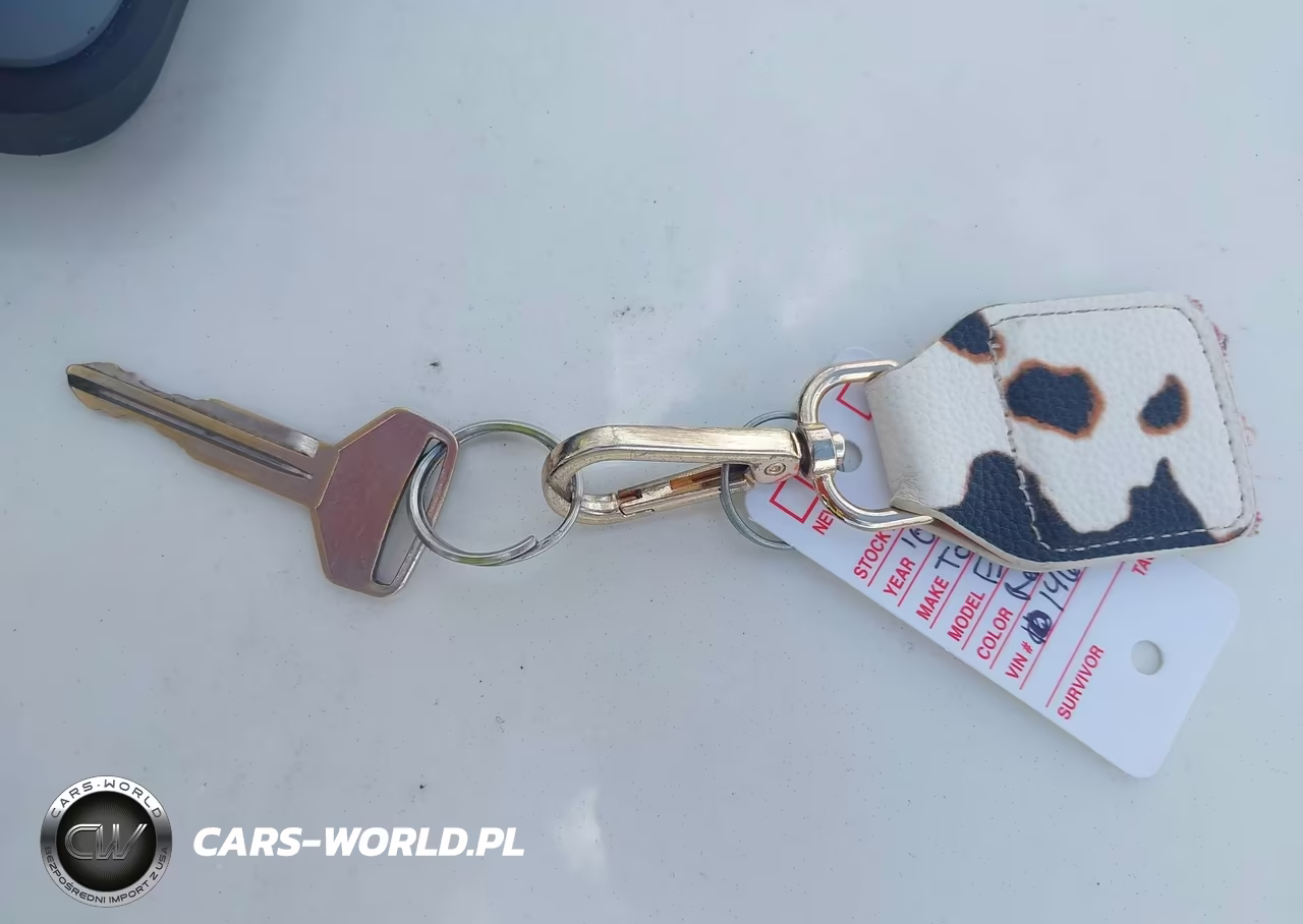 2001 Toyota Echo VIN:JTDAT123510146064 - 11