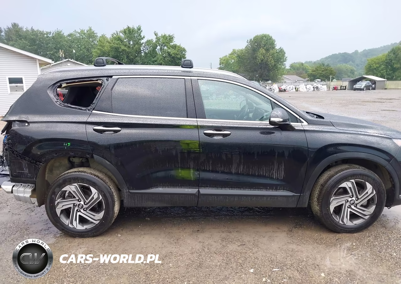 2023 Hyundai Santa Fe Sel VIN:5NMS2DAJ5PH619513 - 14