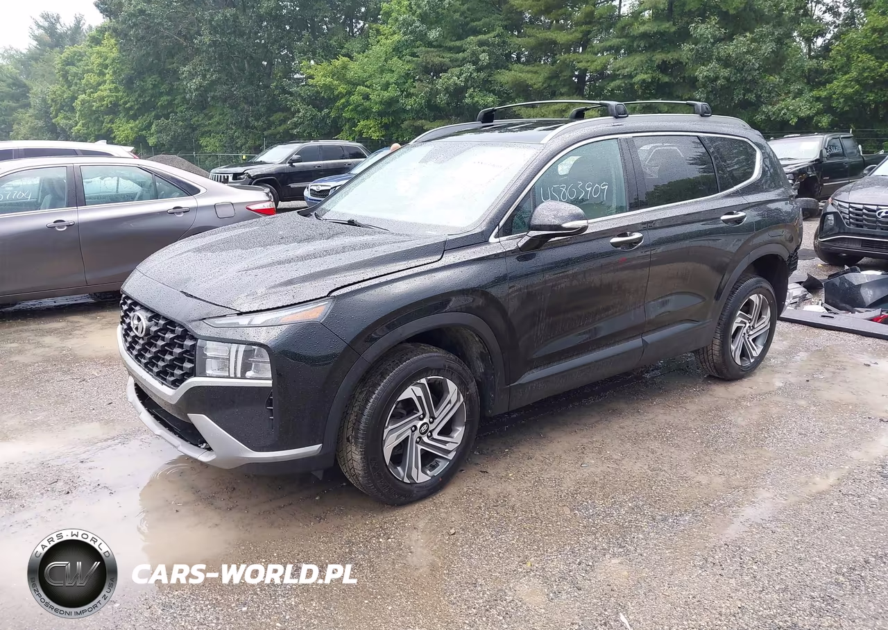 2023 Hyundai Santa Fe Sel VIN:5NMS2DAJ5PH619513 - 2