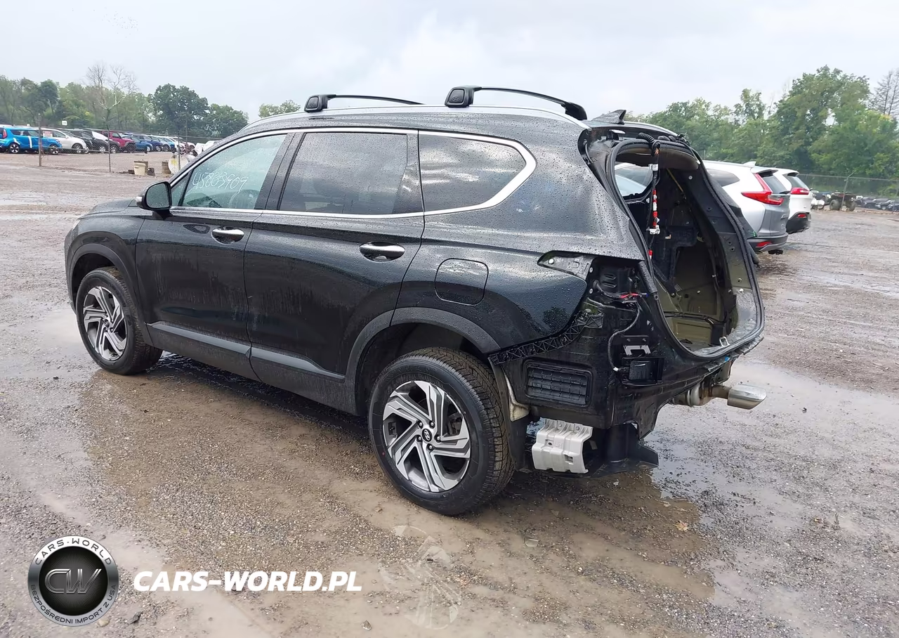 2023 Hyundai Santa Fe Sel VIN:5NMS2DAJ5PH619513 - 3