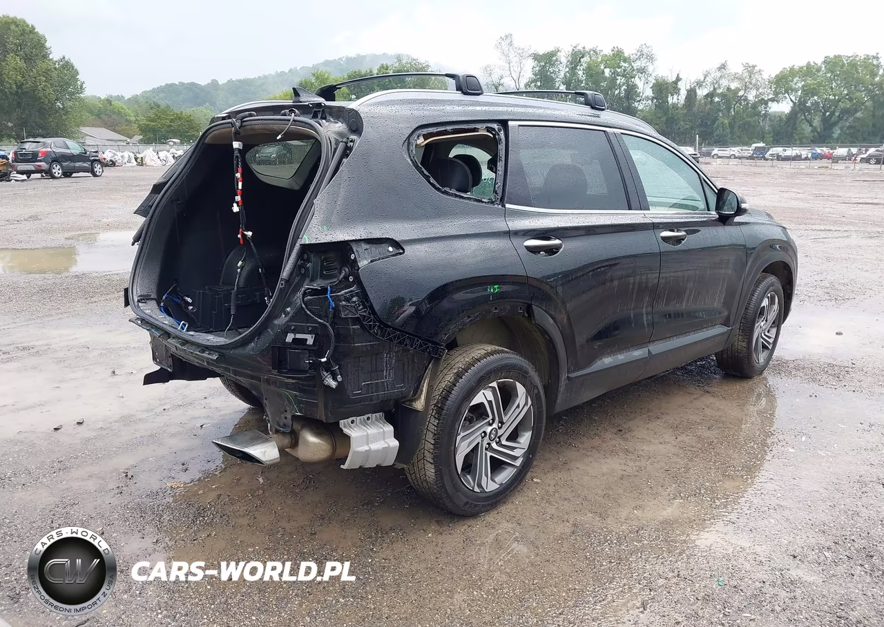 2023 Hyundai Santa Fe Sel VIN:5NMS2DAJ5PH619513 - 4