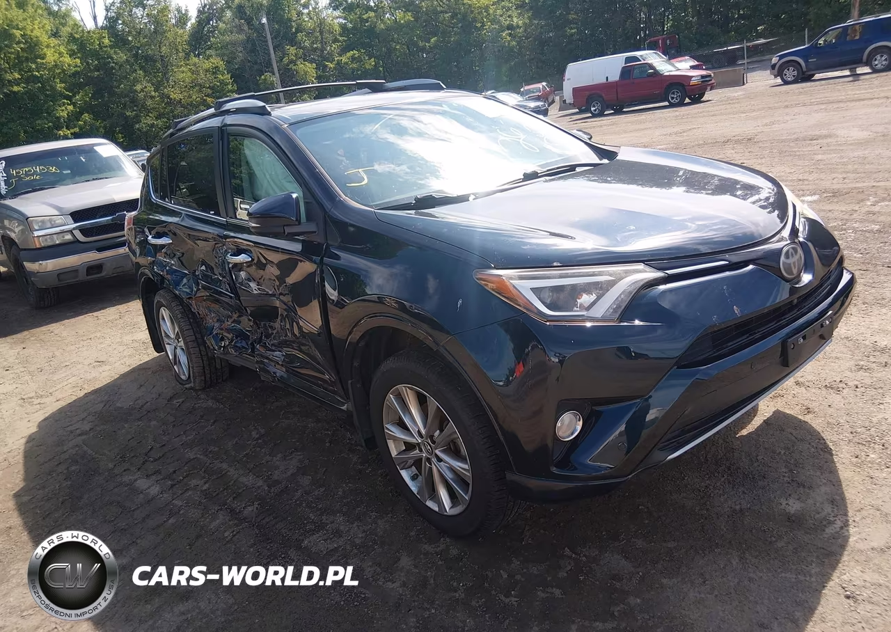 2017 Toyota Rav4 Platinum