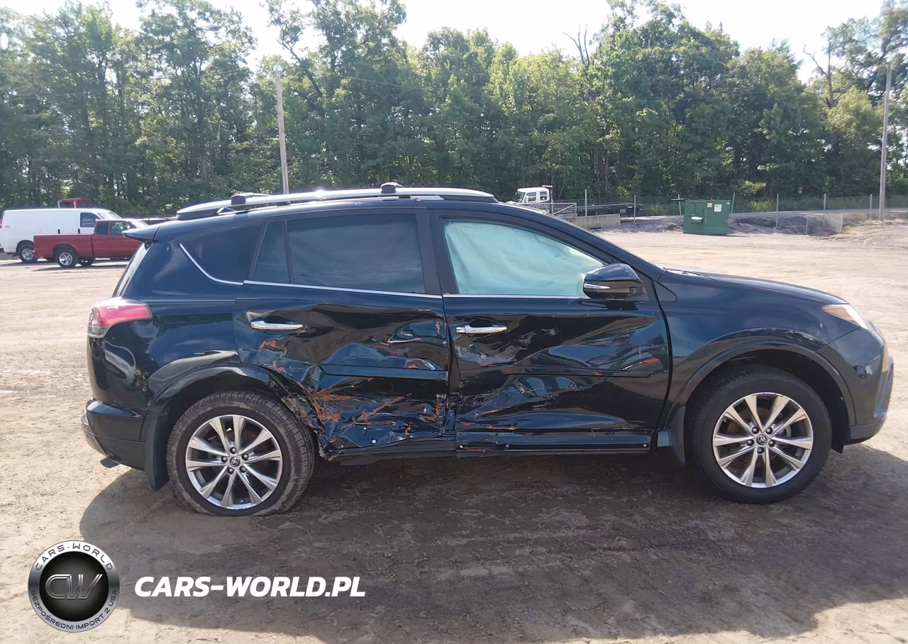 2017 Toyota Rav4 Platinum VIN:2T3DFREV8HW578590 - 13