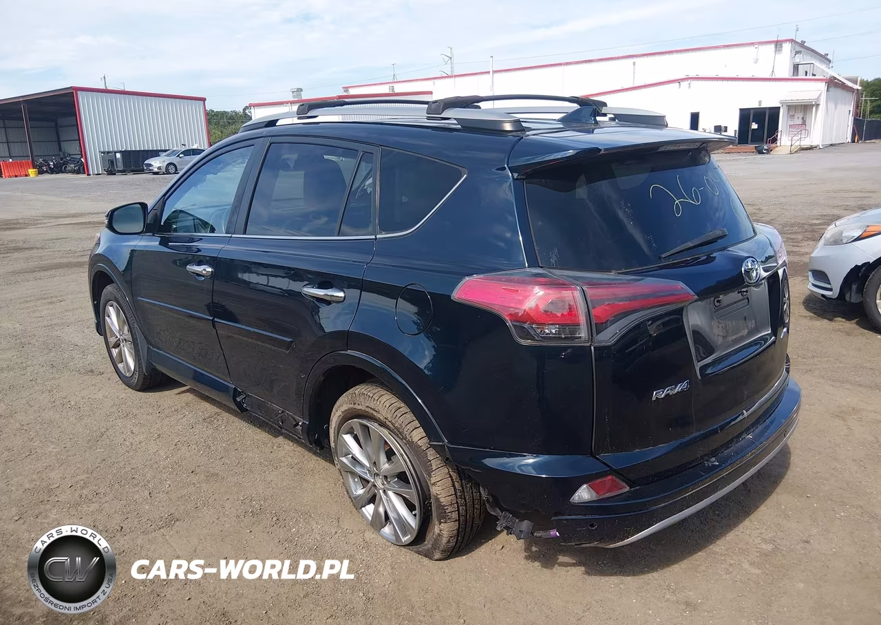 2017 Toyota Rav4 Platinum VIN:2T3DFREV8HW578590 - 3