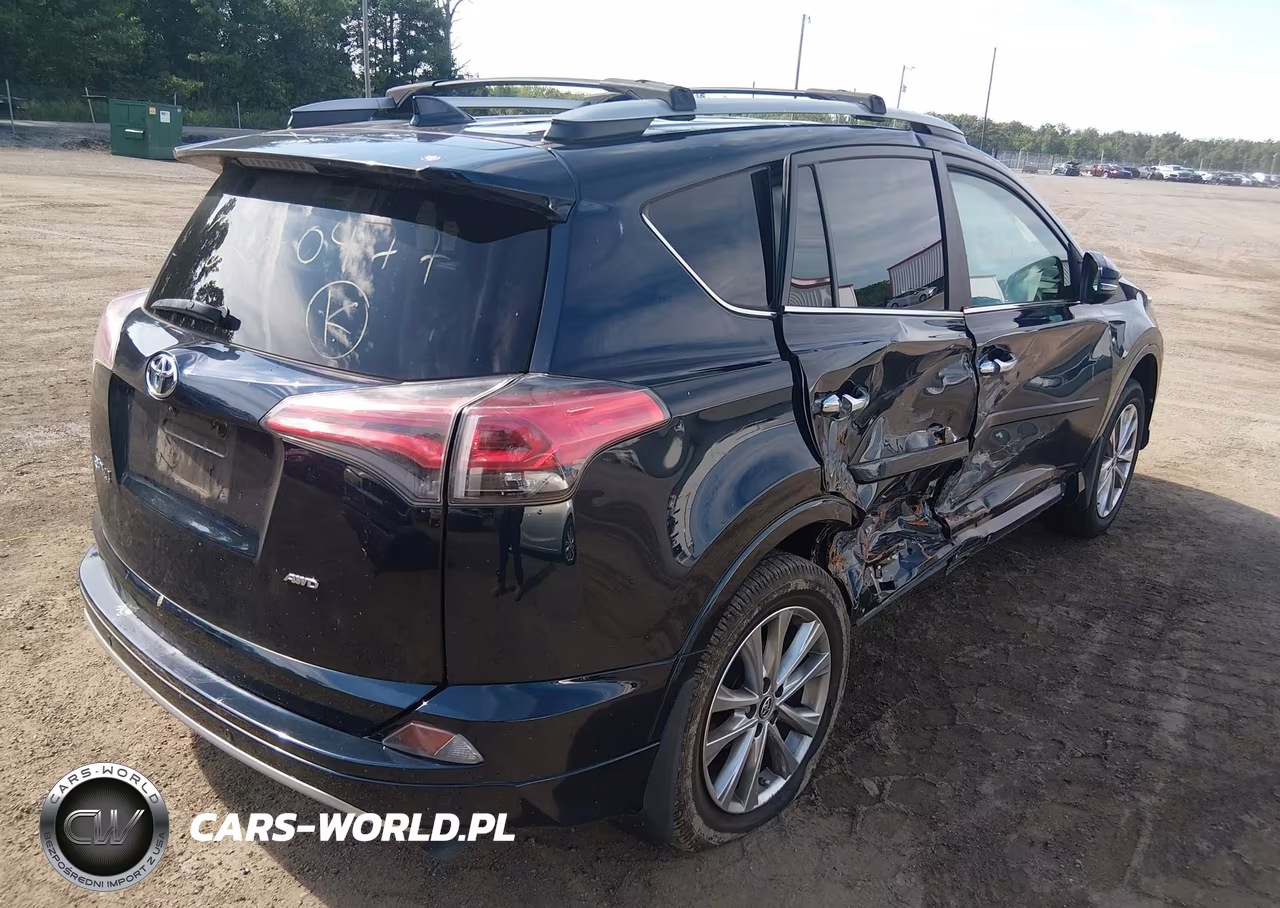 2017 Toyota Rav4 Platinum VIN:2T3DFREV8HW578590 - 4