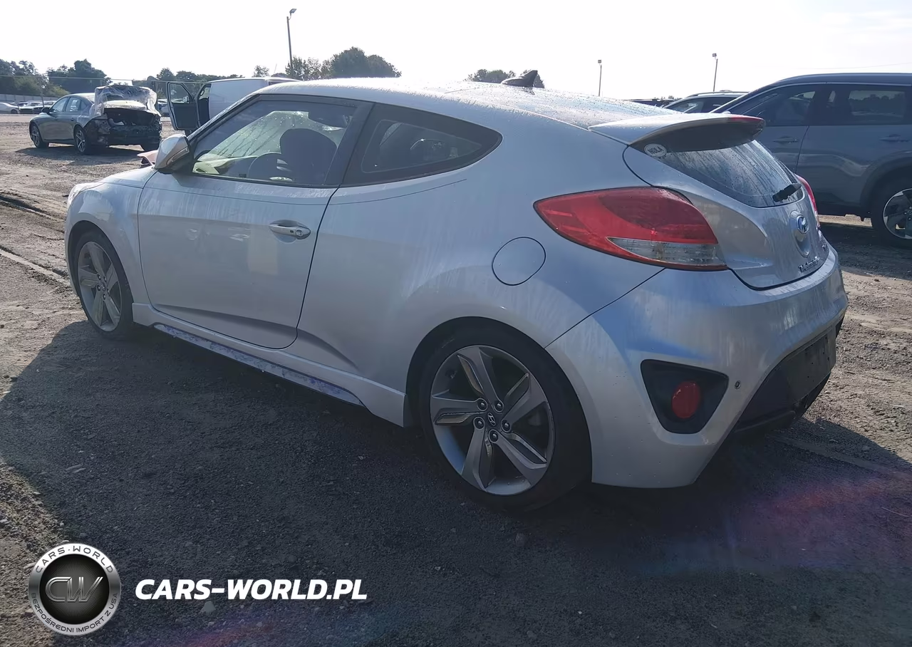 2013 Hyundai Veloster Turbo W-Blue VIN:KMHTC6AE4DU121660 - 3