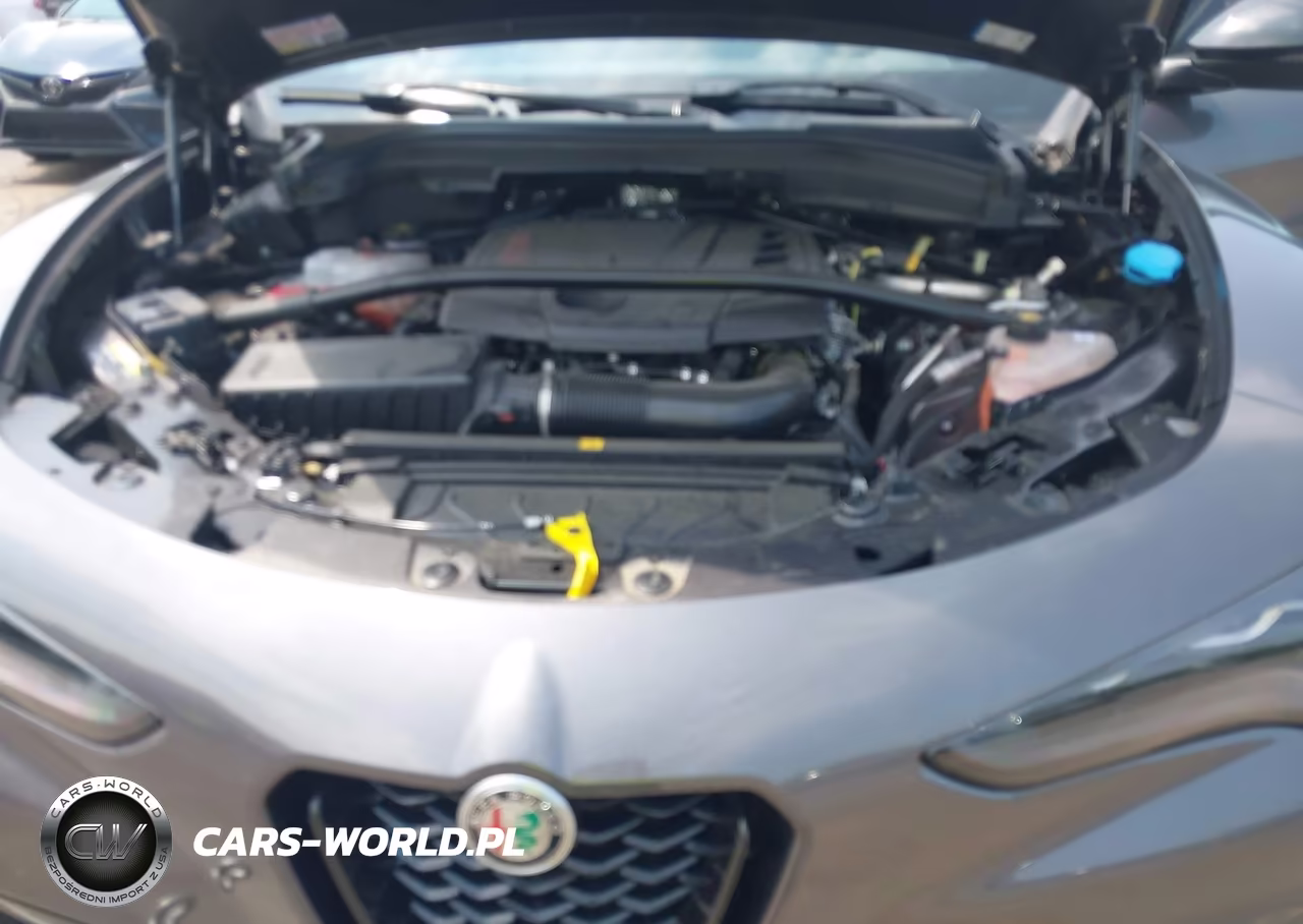 2024 Alfa Romeo Stelvio Veloce Awd VIN:ZASPAKBN2R7D85993 - 10