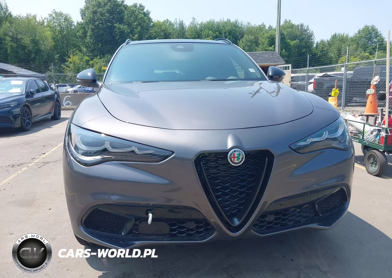 2024 Alfa Romeo Stelvio Veloce Awd VIN:ZASPAKBN2R7D85993 - 6
