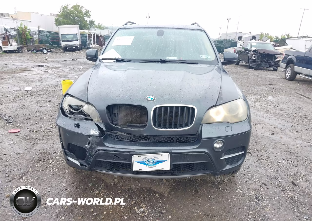 2011 BMW X5 xDrive35I-xDrive35I Premium-xDrive35I Sport Activity VIN:5UXZV4C52BL410385 - 11