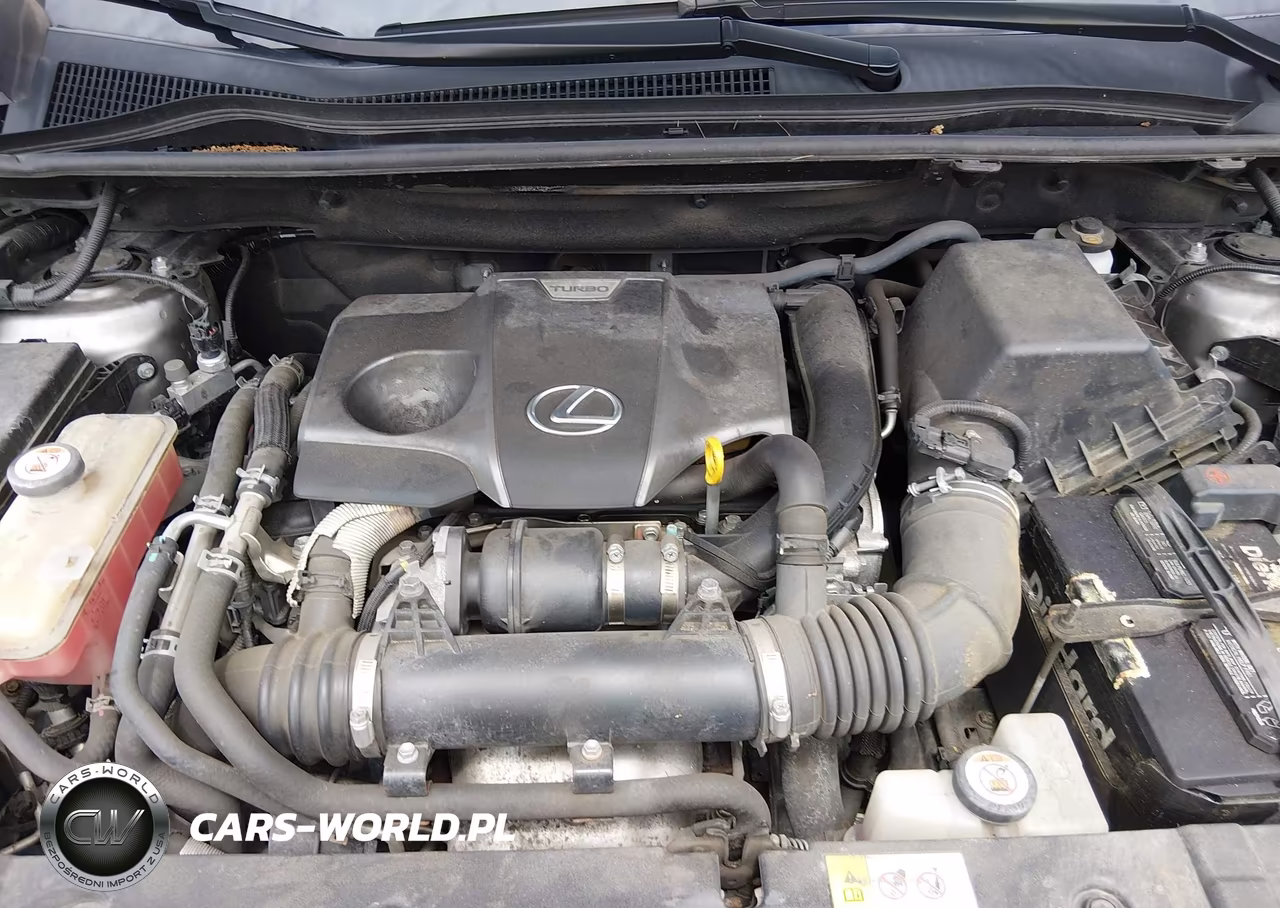 2018 Lexus Nx 300 VIN:JTJBARBZ1J2158212 - 10