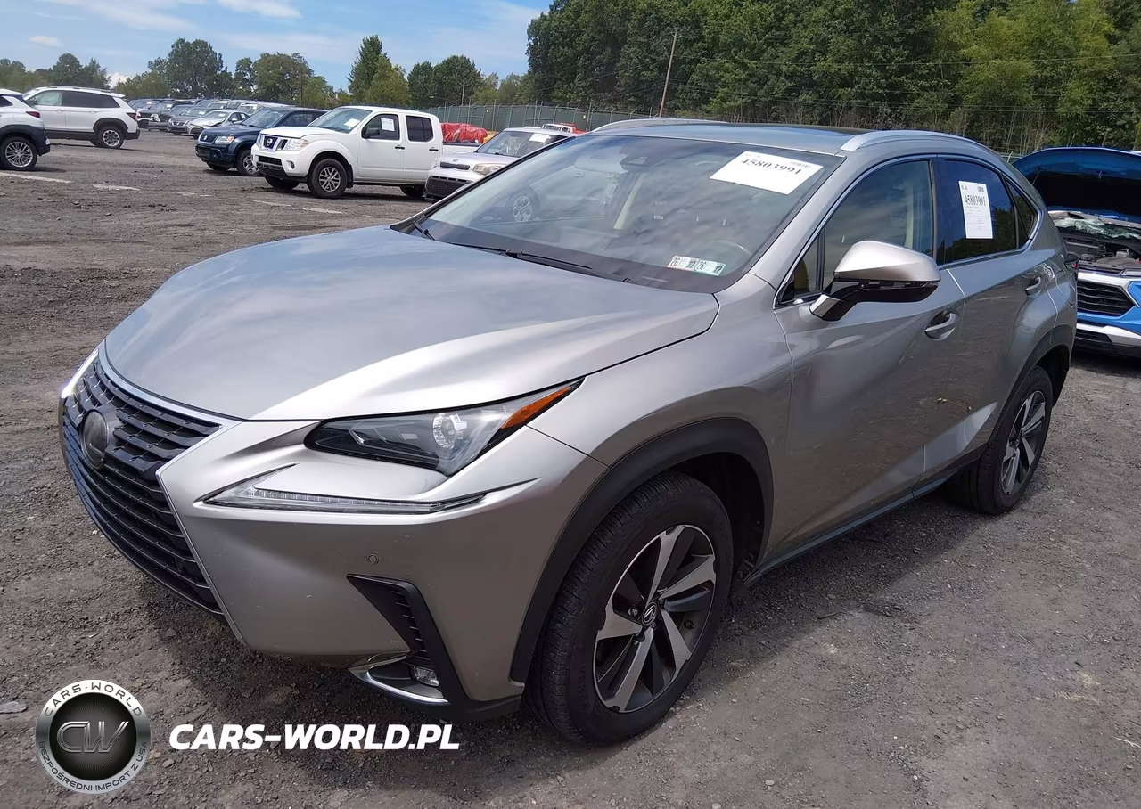2018 Lexus Nx 300 VIN:JTJBARBZ1J2158212 - 2