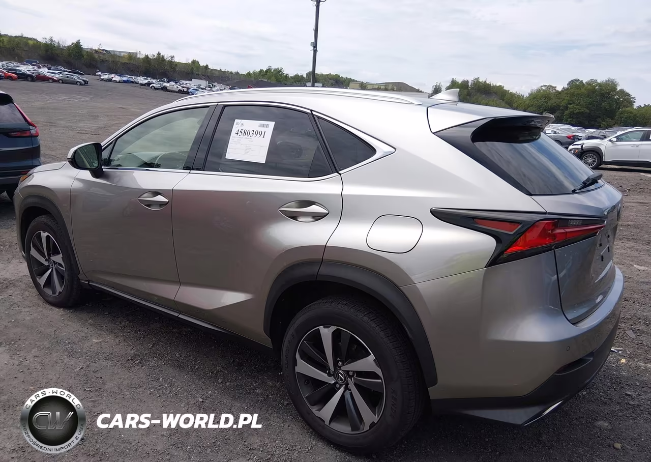 2018 Lexus Nx 300 VIN:JTJBARBZ1J2158212 - 3